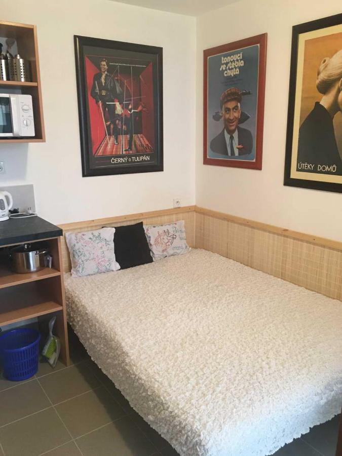 Male Utulne Studio S Koupelnou A Kuchynkou Svinarov Dış mekan fotoğraf